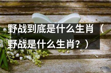 <h3>野战到底是什么生肖（野战是什么生肖？）