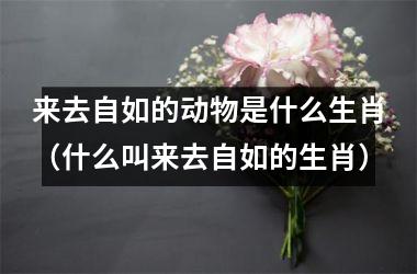 <h3>来去自如的动物是什么生肖（什么叫来去自如的生肖）