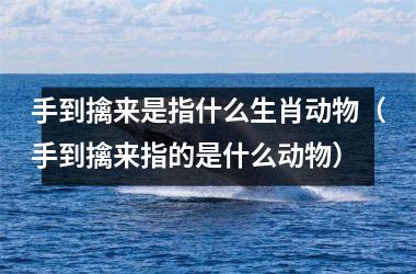 <h3>手到擒来是指什么生肖动物（手到擒来指的是什么动物）