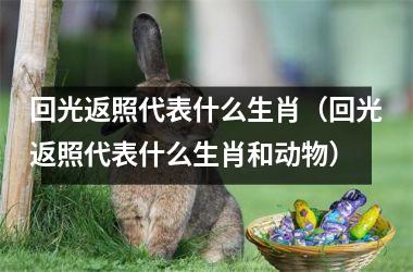 回光返照代表什么生肖（回光返照代表什么生肖和动物）