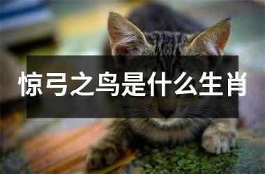 <h3>惊弓之鸟是什么生肖
