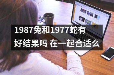 1987兔和1977蛇有好结果吗 在一起合适么