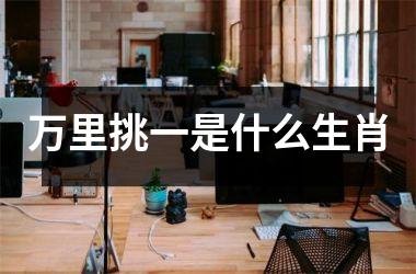 <h3>万里挑一是什么生肖