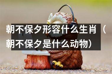 <h3>朝不保夕形容什么生肖（朝不保夕是什么动物）