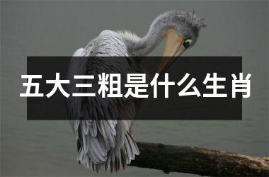 五大三粗是什么生肖