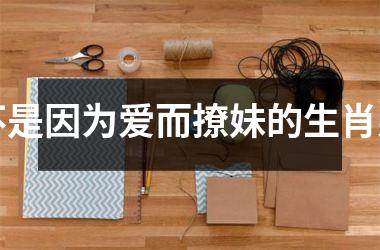 <h3>不是因为爱而撩妹的生肖男