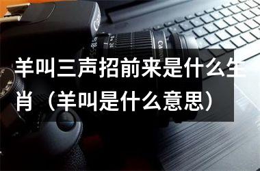 <h3>羊叫三声招前来是什么生肖（羊叫是什么意思）