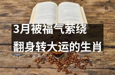 <h3>3月被福气萦绕 翻身转大运的生肖