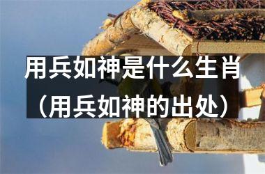<h3>用兵如神是什么生肖（用兵如神的出处）