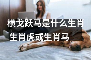 <h3>横戈跃马是什么生肖 生肖虎或生肖马