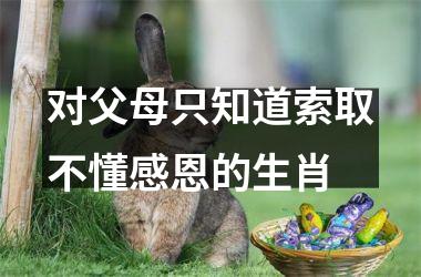 <h3>对父母只知道索取不懂感恩的生肖