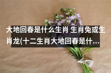大地回春是什么生肖 生肖兔或生肖龙(十二生肖大地回春是什么生肖)