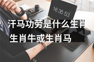 <h3>汗马功劳是什么生肖 生肖牛或生肖马