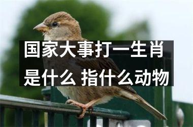 <h3>大事打一生肖 是什么 指什么动物