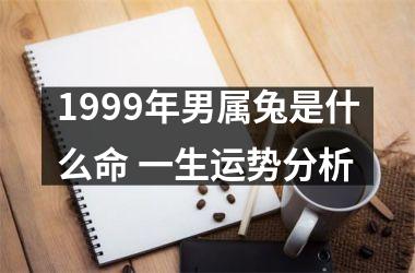 <h3>1999年男属兔是什么命 一生运势分析
