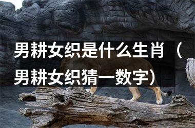 <h3>男耕女织是什么生肖（男耕女织猜一数字）