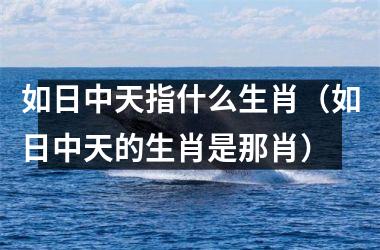 <h3>如日中天指什么生肖（如日中天的生肖是那肖）