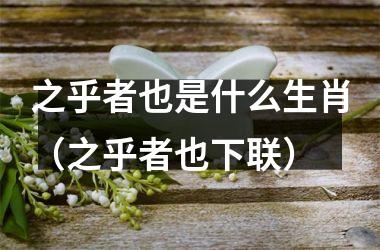 之乎者也是什么生肖（之乎者也下联）
