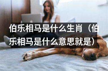 伯乐相马是什么生肖（伯乐相马是什么意思就是）