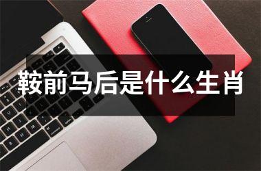 鞍前马后是什么生肖