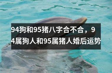 <h3>94狗和95猪八字合不合，94属狗人和95属猪人婚后运势