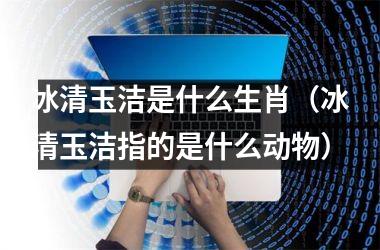 <h3>冰清玉洁是什么生肖（冰清玉洁指的是什么动物）