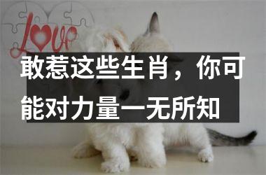 <h3>敢惹这些生肖，你可能对力量一无所知