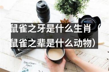 <h3>鼠雀之牙是什么生肖（鼠雀之辈是什么动物）