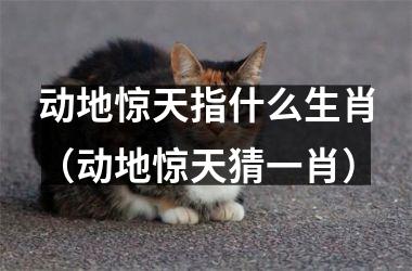 动地惊天指什么生肖（动地惊天猜一肖）