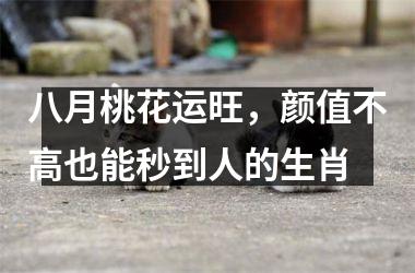 <h3>八月桃花运旺，颜值不高也能秒到人的生肖