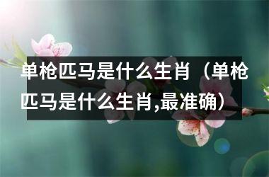 <h3>单枪匹马是什么生肖（单枪匹马是什么生肖,准确）