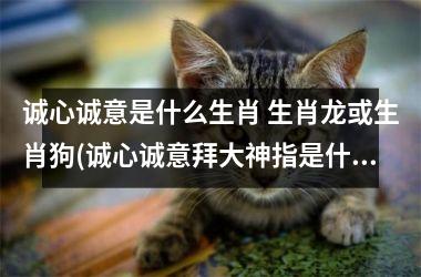 <h3>诚心诚意是什么生肖 生肖龙或生肖狗(诚心诚意拜大神指是什么生肖)