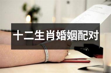 <h3>十二生肖婚姻配对