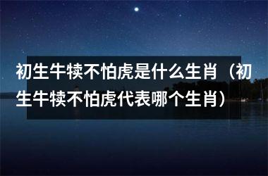 <h3>初生牛犊不怕虎是什么生肖（初生牛犊不怕虎代表哪个生肖）