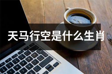 天马行空是什么生肖