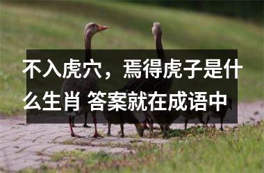 <h3>不入虎穴，焉得虎子是什么生肖 答案就在成语中