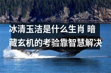 冰清玉洁是什么生肖 暗藏玄机的考验靠智慧解决