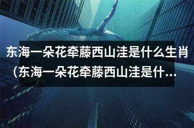 <h3>东海一朵花牵藤西山洼是什么生肖（东海一朵花牵藤西山洼是什么生肖谜底是什么）
