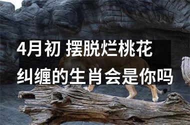 4月初 摆脱烂桃花纠缠的生肖会是你吗