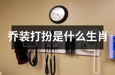 <h3>乔装打扮是什么生肖