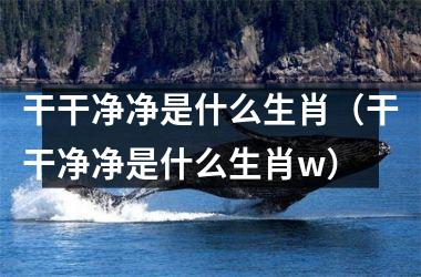 干干净净是什么生肖（干干净净是什么生肖w）