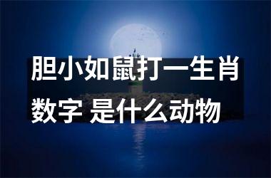 胆小如鼠打一生肖数字 是什么动物