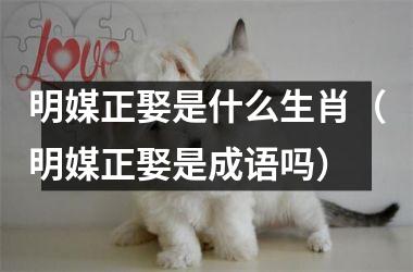 <h3>明媒正娶是什么生肖（明媒正娶是成语吗）