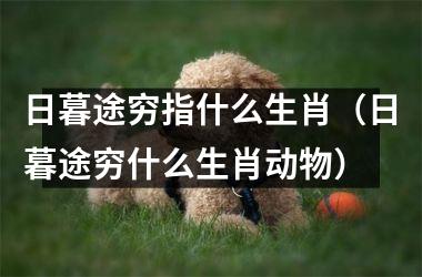 <h3>日暮途穷指什么生肖（日暮途穷什么生肖动物）
