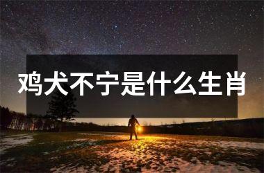 鸡犬不宁是什么生肖