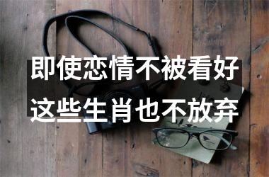 <h3>即使恋情不被看好这些生肖也不放弃