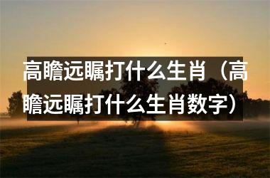 <h3>高瞻远瞩打什么生肖（高瞻远瞩打什么生肖数字）