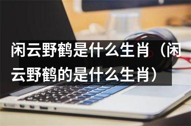 闲云野鹤是什么生肖（闲云野鹤的是什么生肖）