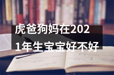 <h3>虎爸狗妈在2025年生宝宝好不好