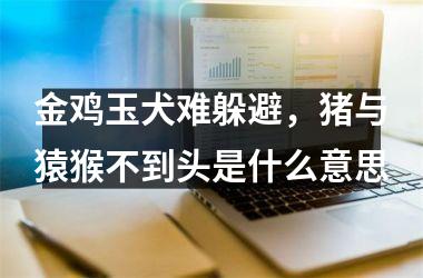 <h3>金鸡玉犬难躲避，猪与猿猴不到头是什么意思